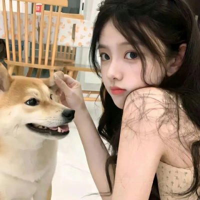 哈莱姆的郁金香